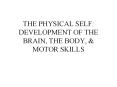 THE PHYSICAL SELF: DEVELOPMENT OF THE BRAIN, THE BODY, 