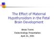 The Effect of Maternal Hypothyroidism in the Fetal Brai
