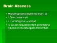 Brain Abscess Microorgansims reach the brain by i. Direc