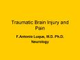 Traumatic Brain Injury and Pain F.Antonio Luque, M.D. Ph.D