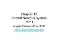 Chapter 12 Central Nervous System Part 1 Angel