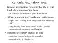 Reticular excitatory area General area/system for control o