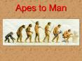 Apes to Man Human Evolution Human evolution is characterize