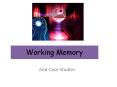 Working Memory And Case Studies Working Memory Mode