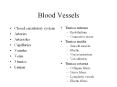 Blood Vessels Closed circulatory system Arteries Arteriole