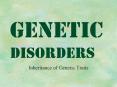 Genetic Disorders Inheritance of Genetic Traits Muscula