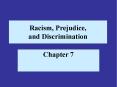 Racism, Prejudice, and Discrimination Chapter 7 Th