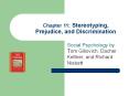 Chapter 11: Stereotyping, Prejudice, and Discriminatio