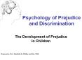 Psychology of Prejudice and Discrimination The Developmen