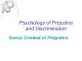 Psychology of Prejudice and Discrimination Social Context o