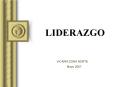 LIDERAZGO VICAR A ZONA NORTE Mayo 2007 Definici n: Liderazg