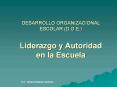 DESARROLLO ORGANIZACIONAL ESCOLAR (D.O.E.) Liderazgo 