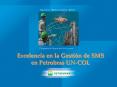 Seguridad Medio Ambiente Salud Programa de Seguridad d