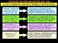 proceso de implantacion del cmi 1  etapa : planificar e