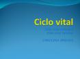 Ciclo vital individual Ciclo vital familiar CAROLINA ARENA