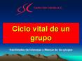 Ciclo vital de un grupo Habilidades de liderazgo y Manejo d