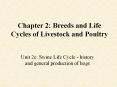 Chapter 2: Breeds and Life Cycles of Livestock and Poultr