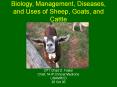 Biology, Management, Diseases, and Uses of Sheep, Goats, an