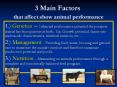 3 Main Factors that affect show animal performance 1.