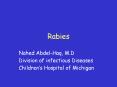 Rabies Nahed Abdel-Haq, M.D Division of infectious Disease