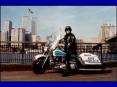 Cops of New York A criminal investigation    and a math