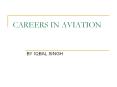 careers in aviation by iqbal singh career fields 1.india