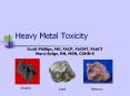Heavy Metal Toxicity Scott Phillips, MD, FACP, FACMT, FAAC