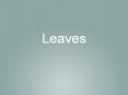 Leaves Types of Leaves Examples of Simple Leaves Examples o