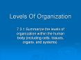 Levels Of Organization 7.3.1 Summarize the levels o