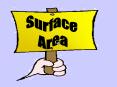 Surface Area What does it mean to you? Does it have anythin