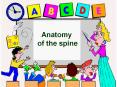 Anatomy of the spine The spine is one of the most importan