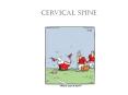 Cervical Spine Cervical Spine C1 - C7 Atlas and Axi