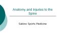 Anatomy and Injuries to the Spine Sabino Sports Medicin