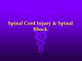Spinal Cord Injury & Spinal Shock Epidemiology1 (USA) Annua