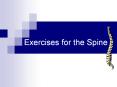 Exercises for the Spine Abdominal Exercises Effectiv