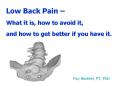 Low Back Pain   What it is, how to avoid it, and how to ge