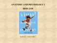 ANATOMY AND PHYSIOLOGY I BIOS 2310 Instructor: Sarah Jeffer
