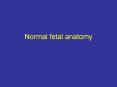 Normal fetal anatomy Anatomy Scan Indications Identify feta