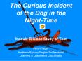 The Curious Incident of the Dog in the Night-Time Module 