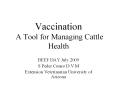 Vaccination A Tool for Managing Cattle Health BEEF DAY Jul