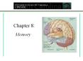 Chapter 8: Memory * * * * * Improving Memory * * * * * * * 