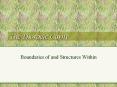 The Thoracic Cavity Boundaries of and Structures Withi