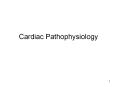 Cardiac Pathophysiology * * Mitral Regurgitation Cause