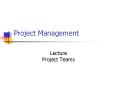 Project Management Lecture Project Teams Overview Wha