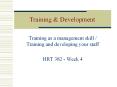 Training & Development Training as a management skill 