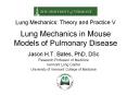 Lung Mechanics: Theory and Practice V Lung Mechanics i