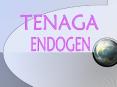 Pengertian dan sifat tenaga endogen : Tenaga yang berasa