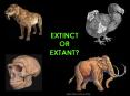 EXTINCT OR EXTANT? EXTINCT: A species that has died out