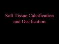 Soft Tissue Calcification and Ossification Exclud
