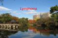 Lymphoma Zhong Hua Hematological Dept. Renji Hospita